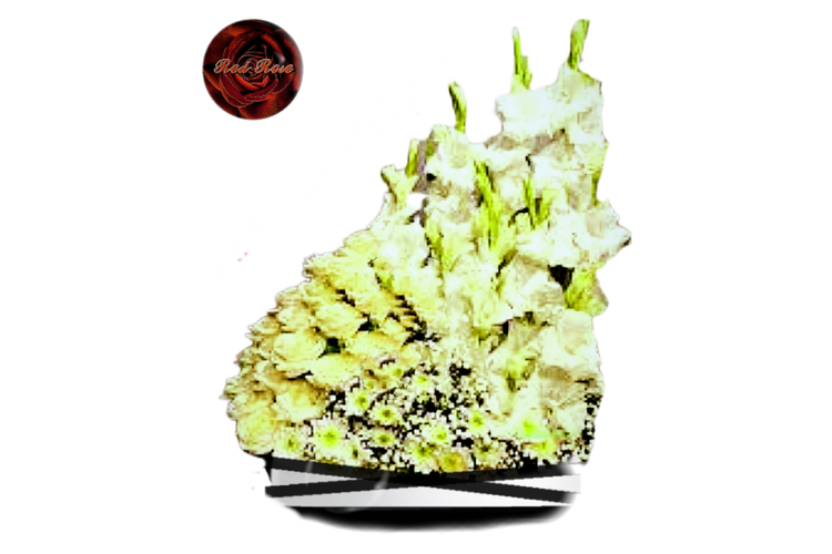 باکس گل گلایل رز داوودی