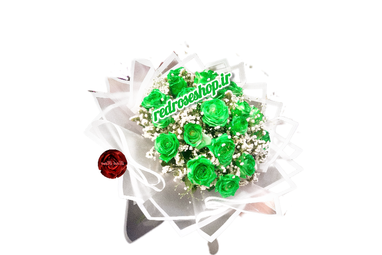 دسته گل رز سبز هلندی