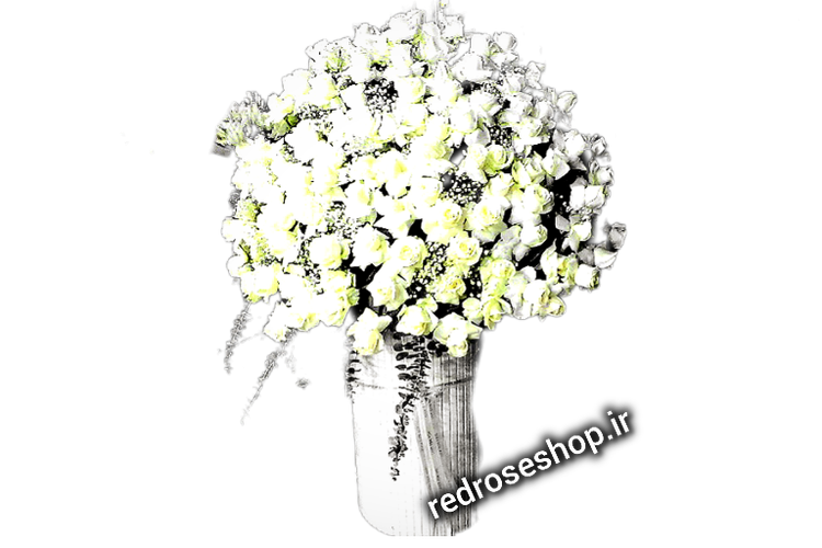 باکس گل بزرگ رز سفید خواستگاری