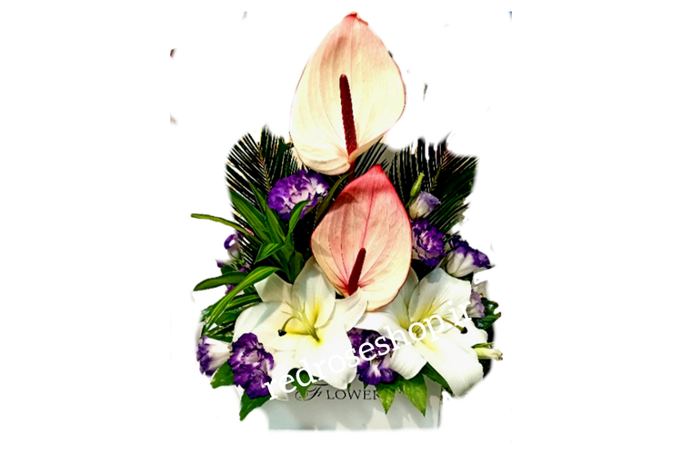 باکس گل لیلیوم انتوریوم لیسانس توس برای تبریک تولد زایمان خواستگاری