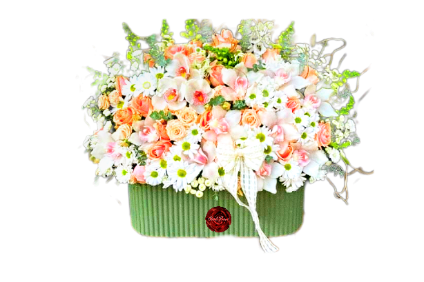 باکس- گل -رز- ارکیده -بابونه