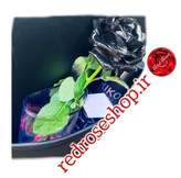 شاخه رز سیاه رنگ شده