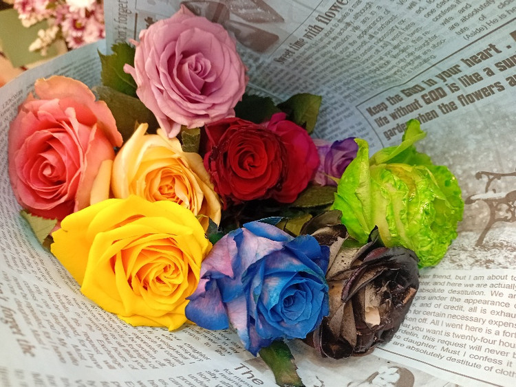 دسته گل ۱۰ رنگ رز سیاه،قرمز،زرد،صورتی،بنفش،گلبهی، ابی،سبز