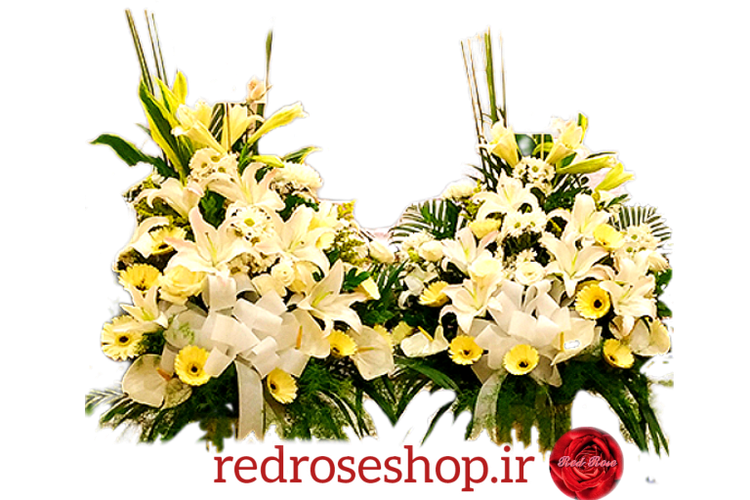 گل افتتاحیه لیلیوم