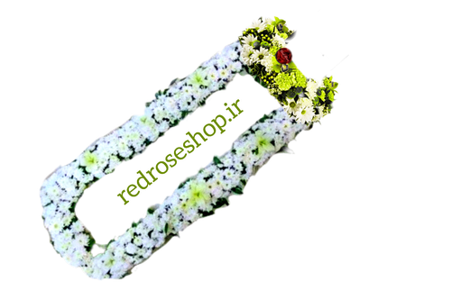 رز داوودی گل دور سنگ قبر