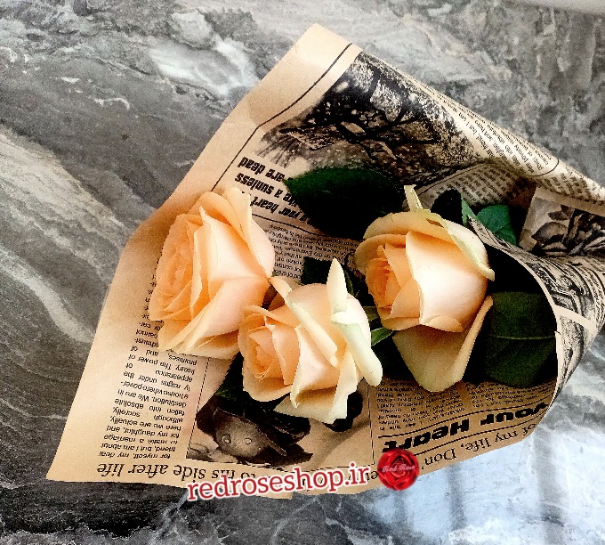 ۳_شاخه_رز_نباتی_کرم_رنگ_دسته_گل_روزنامه_