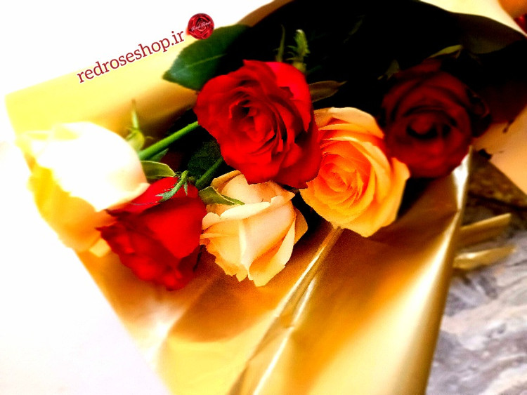 دسته گل روز کرم رنگ قرمز ۶شاخه تزئین کاغذ طلایی
