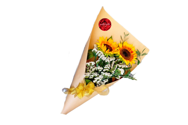 دسته -گل- آفتابگردان- دو -شاخه -زنبوری -سفید- کاغذ 'کاهی