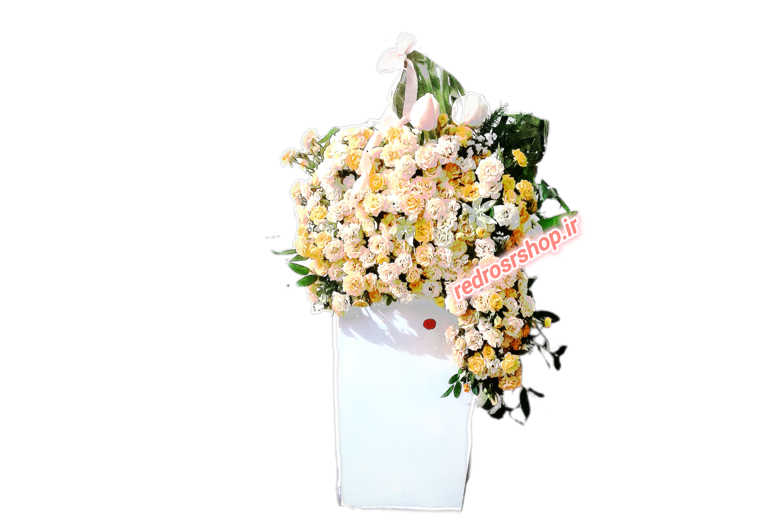 باکس_گل_یک_متری_رز_مینیاتوری_گلبهی_هلویی_سفید_ابشاری