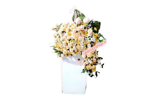 باکس_گل_یک_متری_رز_مینیاتوری_گلبهی_هلویی_سفید_ابشاری