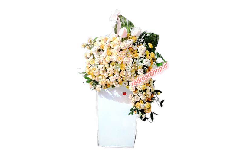 باکس_گل_یک_متری_رز_مینیاتوری_گلبهی_هلویی_سفید_ابشاری