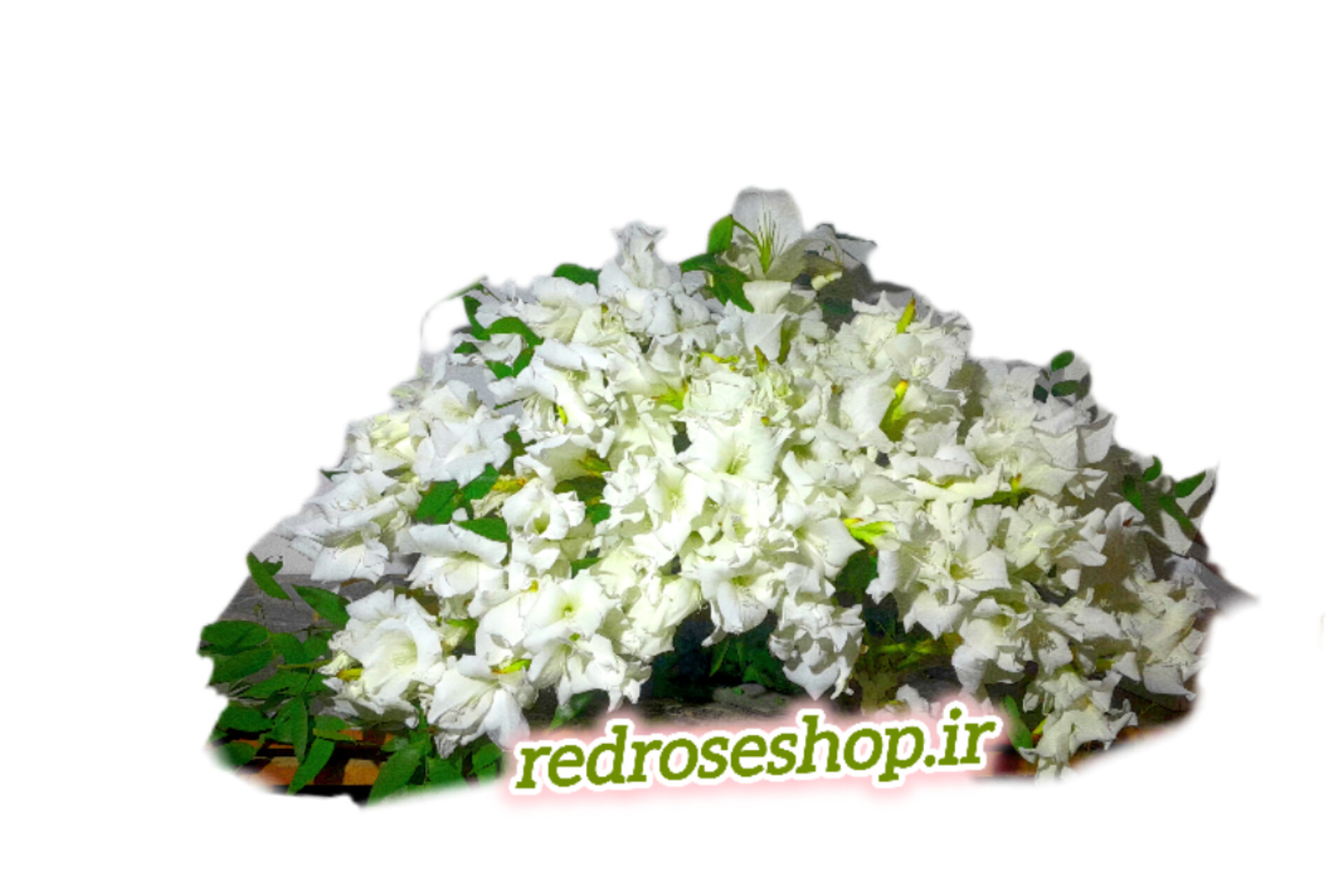 گل_روی_سنگ_قبر_رومیزی_گلایل_پر_حجم_سفید