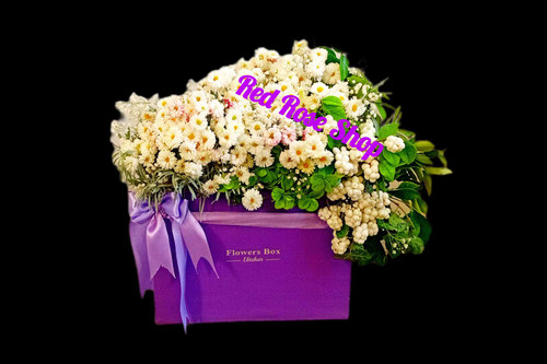 باکس یاسی گل داوودی سفید و یاسی برای تبریک برگ سبز روبان یاسی