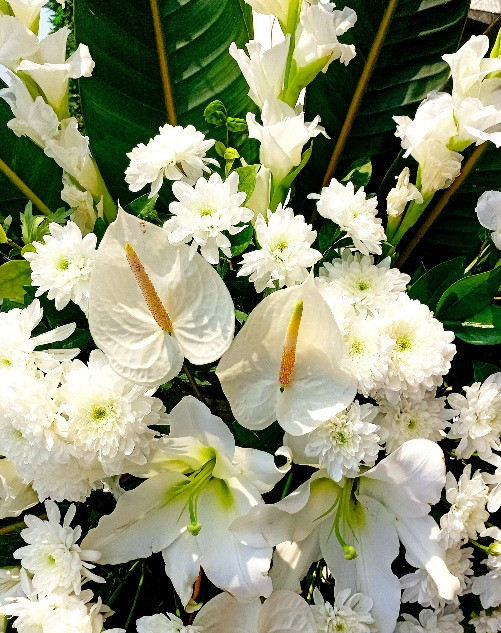 گل-ورینتال-آنتوریوم-گلایل-داوودی-سفید