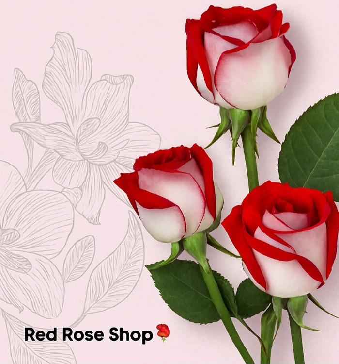 دسته- گل- رمانتیک- عاشقانه -قرمز -رز- قرمز- سه-شاخه