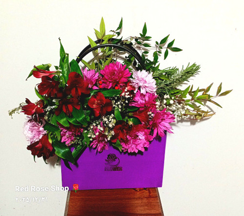 بگ-فلاور-السترومریا-جیگری-بنفش-داوودی-یاسی