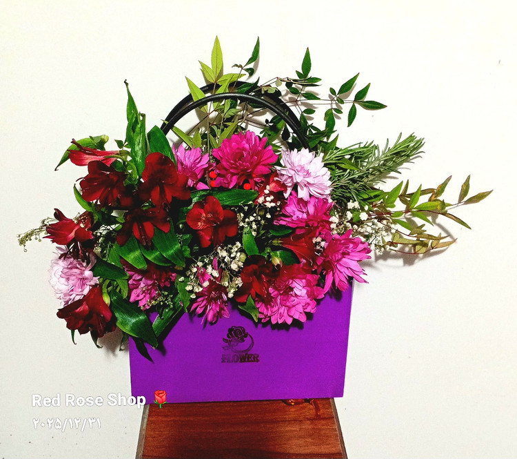 بگ-فلاور-السترومریا-جیگری-بنفش-داوودی-یاسی