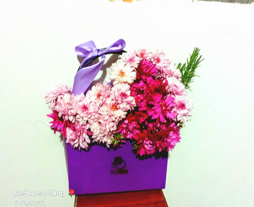 بگ-فلاور-داوودی-یاسی-بنفش-روبان-یاسی