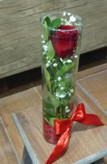 گل-رز-تک-شاخه-برگ-سبز-تزیینی-عروس-در-جام-استوانه-شیشه ای-روبان-قرمز