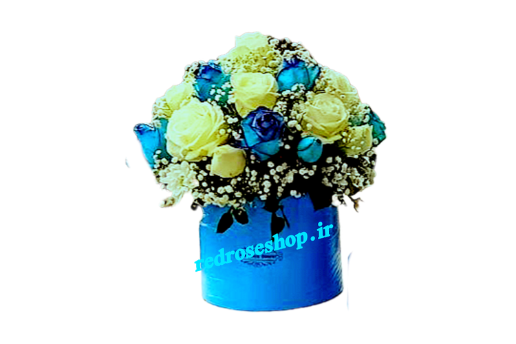 باکس-گل-رز-ابی-سفید