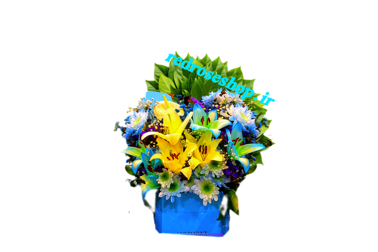 باکس-گل-لیلیوم-اوریناال-آبی-زرد-داوودی-سفید