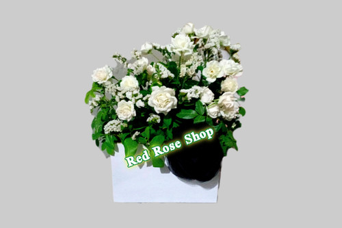 باکس-سفید-رز-سفید-گل-زنبوری-سفید-پاپیون-مشکی-ترحیم