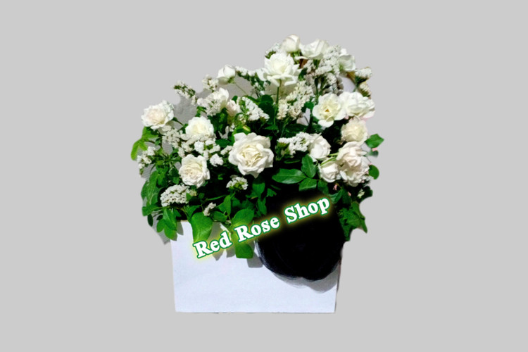 باکس-سفید-رز-سفید-گل-زنبوری-سفید-پاپیون-مشکی-ترحیم