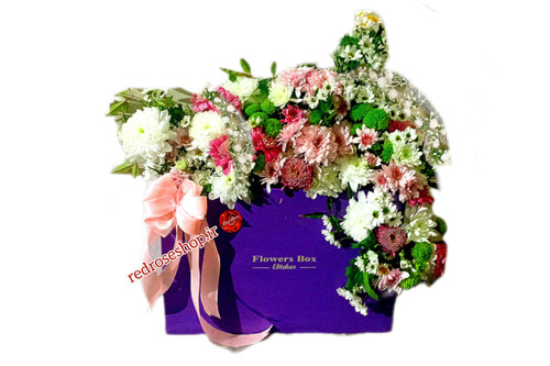 باکس- گل -تبریک-داوودی-یاسی-سفید-سبز-صورتی-ابشاری