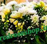 گل-داوودی-فریزیا-عروس-سفید-برگ-سبز