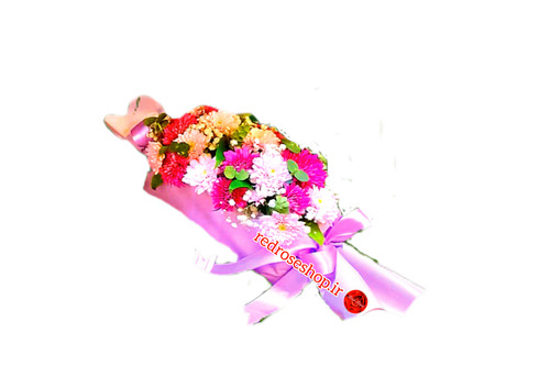 باکس-گل-داوودی-صورتی-بنفش-مدل-بسته بندی-شکلات-پیچی-کادویی-هدیه