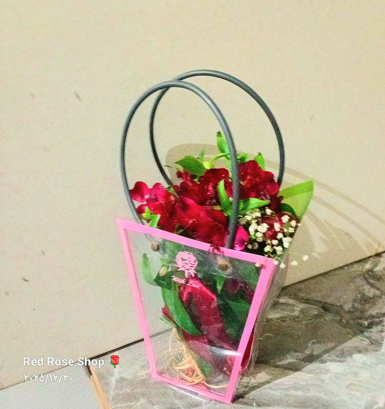 بگ-فلاور-السترومریا-قرمز-داوودی