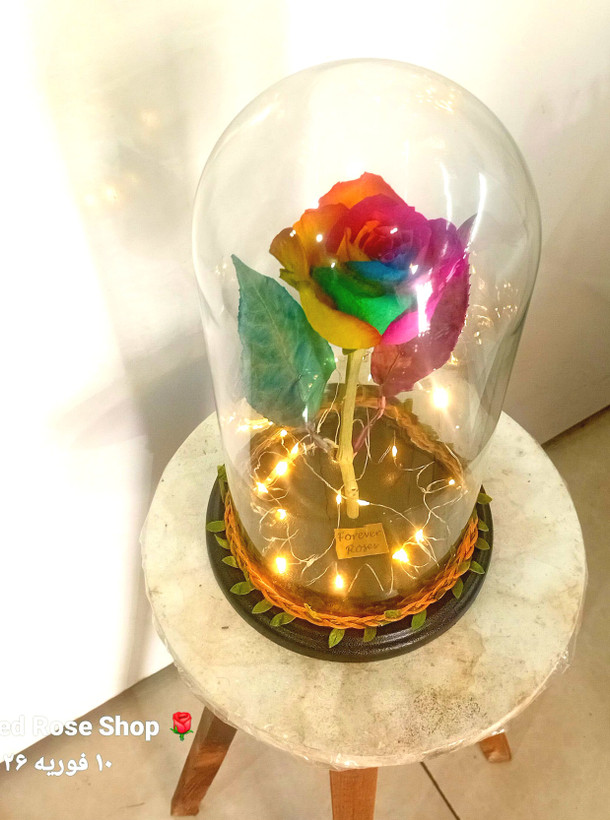 باکس-گل-رز-جاودان-هفت-رنگ-ساقه-بلند-شیشه ای-ریسه-ال ای دی