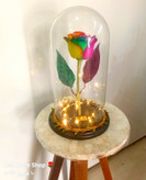 باکس-گل-رز-جاودان-هفت-رنگ-ساقه-بلند-شیشه ای-ریسه-ال ای دی