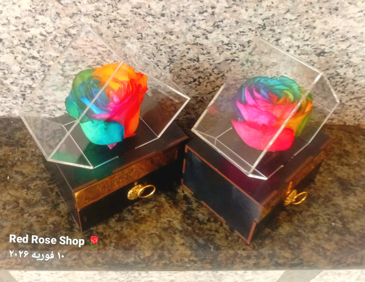 باکس-گل-رز-جاویدان-هفت-رنگ-مدل-گنجینه-کشودار