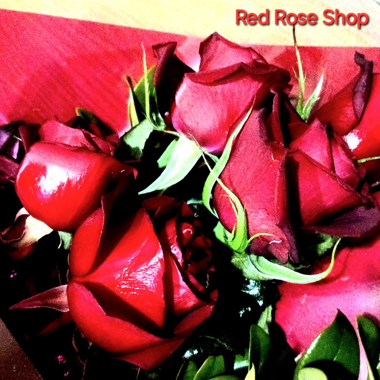 دسته-گل-یکطرفه-رز-پنج-شاخه-قرمز-بسته بندی-قرمز-روبان-ساتن-قرمز