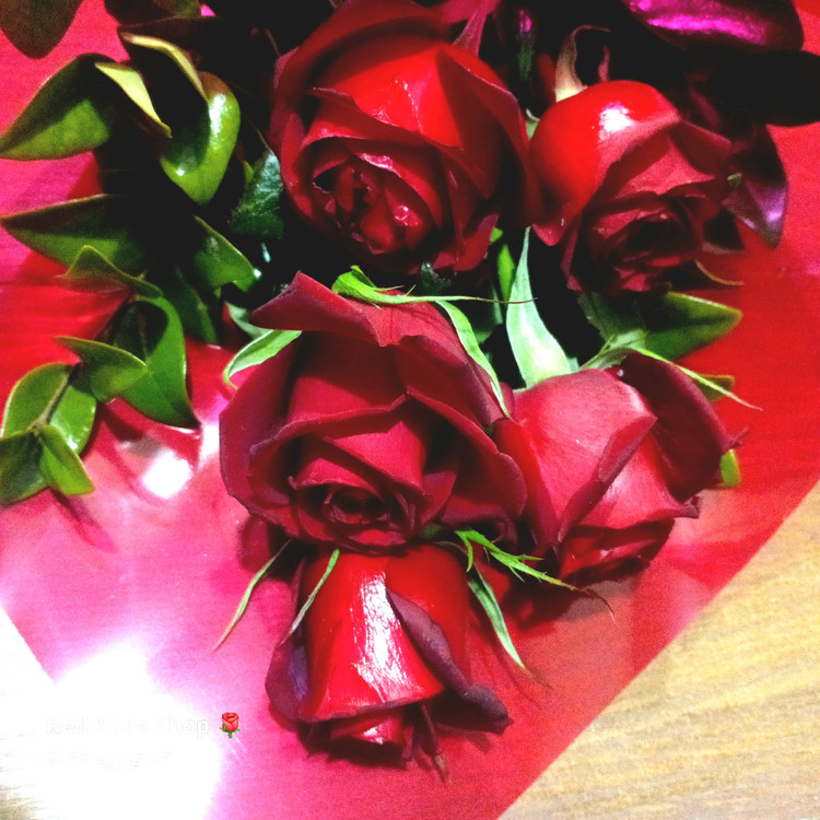 دسته-گل-یکطرفه-رز-پنج-شاخه-قرمز-بسته بندی-قرمز-روبان-ساتن-قرمز