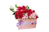 باکس گل داوودی کد ۴۹۷