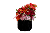 باکس گل فریزیا