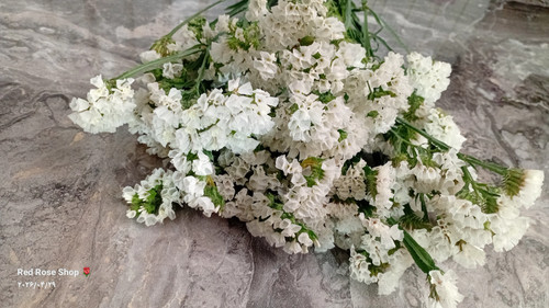 گل-ایساتیس-سفید
