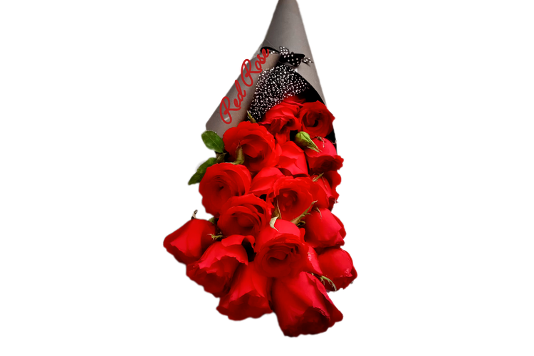 دسته-گل-قیفی-رز-۲۰-شاخه-مدل-قیفی