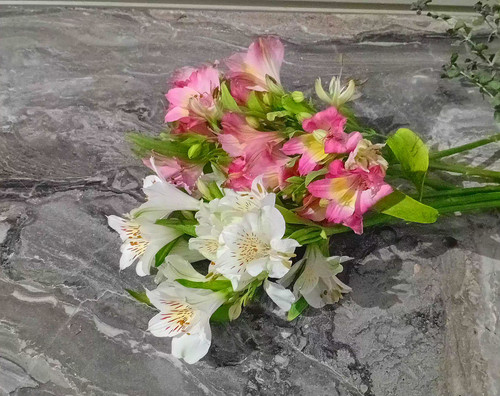 گل آلسترومریا-شاخه-بریده