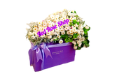 باکس-گل-تبریک-یاسی-داوودی-مینیاتوری-سفید-یکطرفه