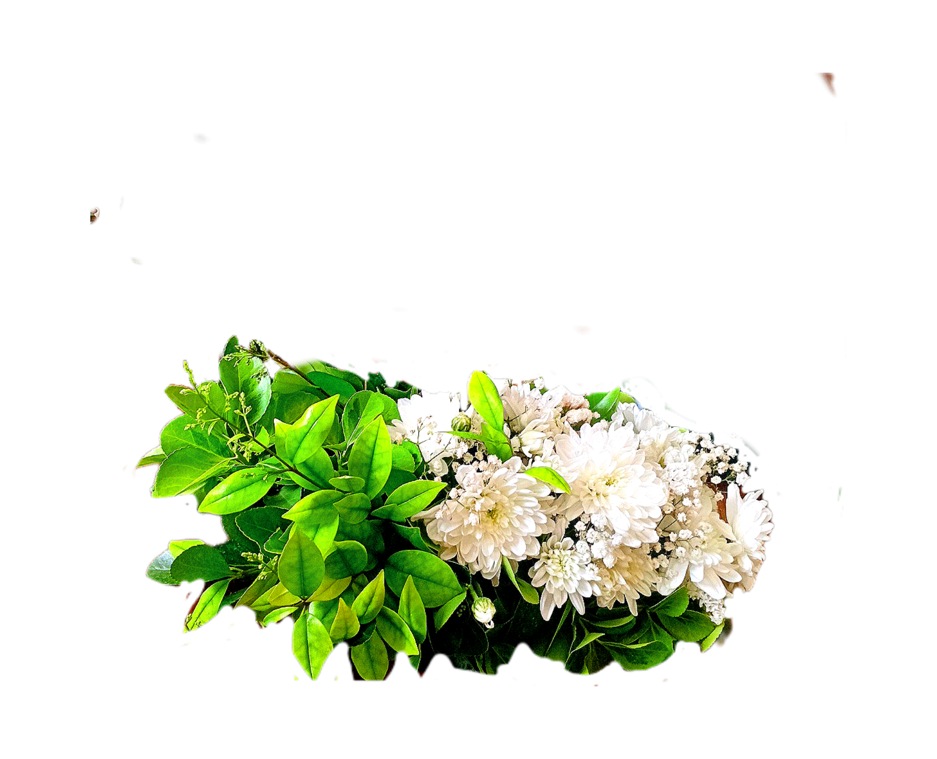 قالب-آماده-گل-داوودی-سفید-برگ-سبز-روی-سنگ-قبر-میز