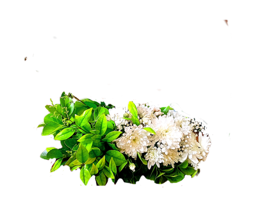 قالب-آماده-گل-داوودی-سفید-برگ-سبز-روی-سنگ-قبر-میز