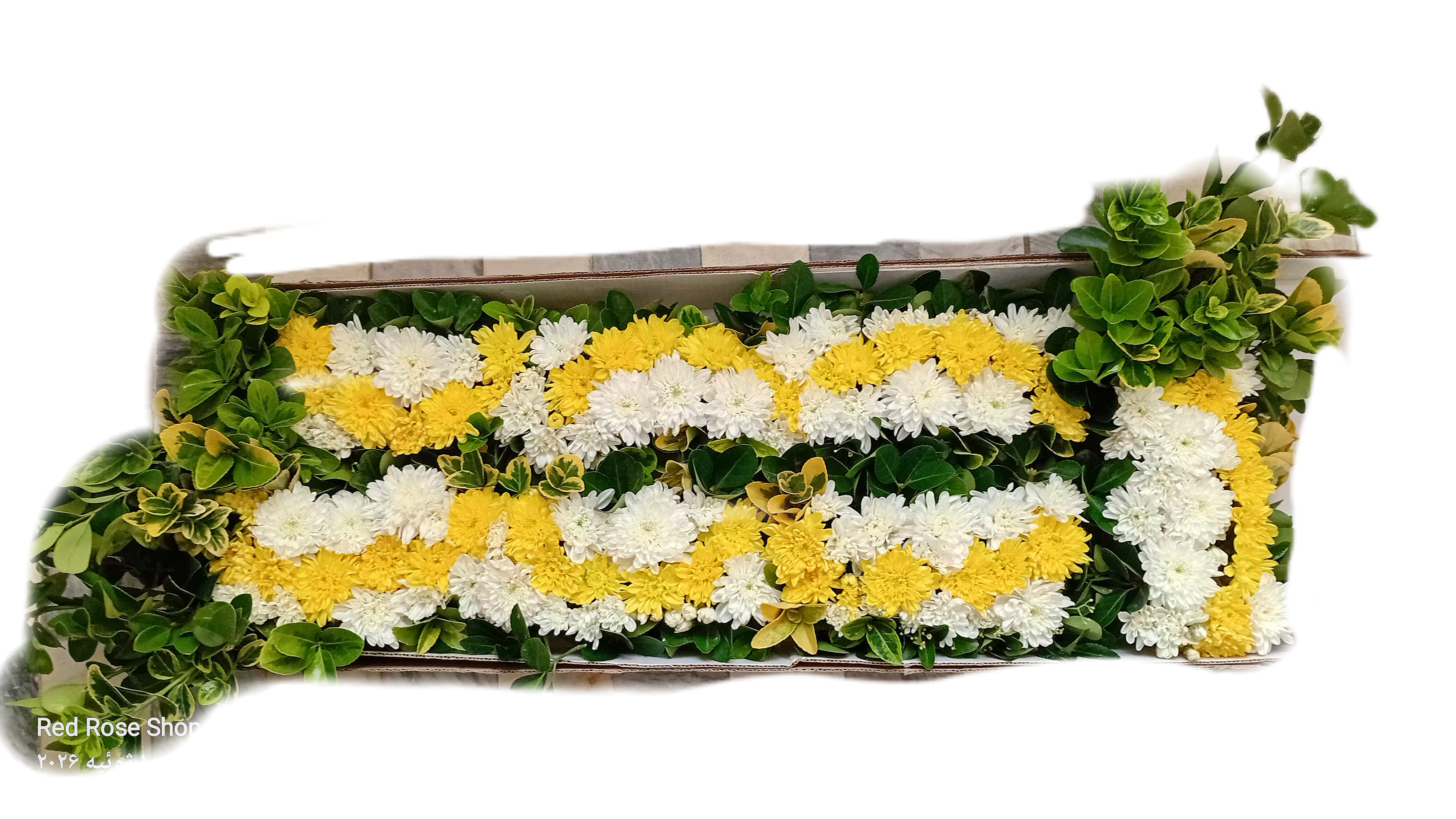 پنل-خطی-گل-داوودی-برای-روی-سنگ-قبر