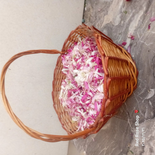 گلبرگ-گل-داوودی