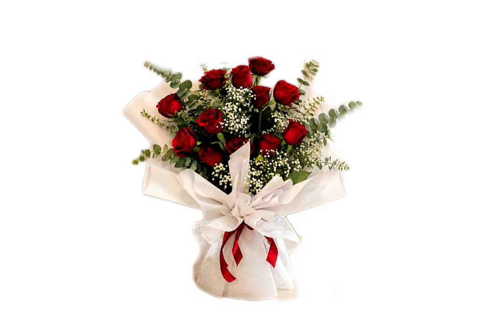 دسته-گل-12-شاخه-رز-قرمز-برگ-اکالیپتوس-ژیپسوفیلا--بسته بندی-سفید-روبان-قرمز