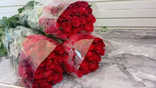 دسته 20 تایی رز شاخه بریده