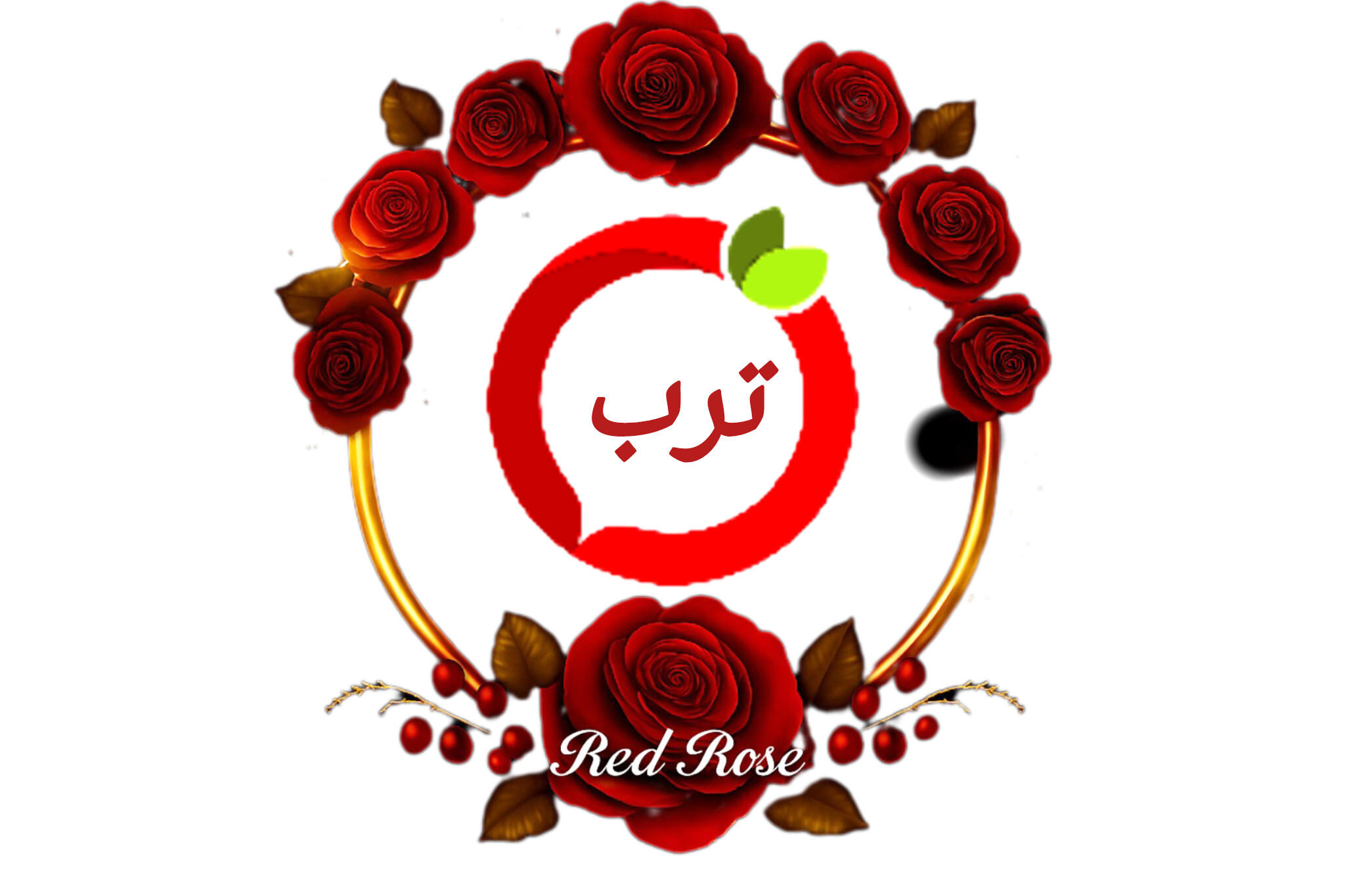 feature-image