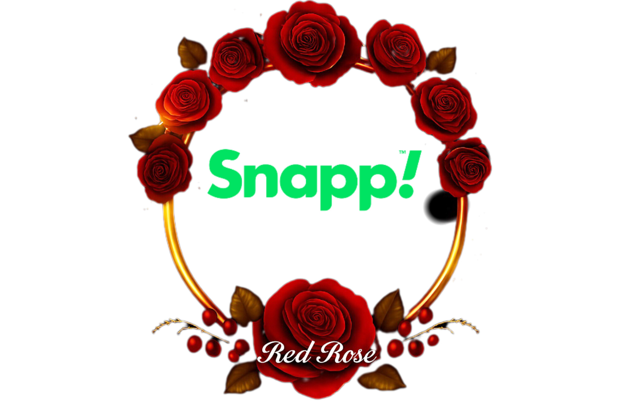 feature-image